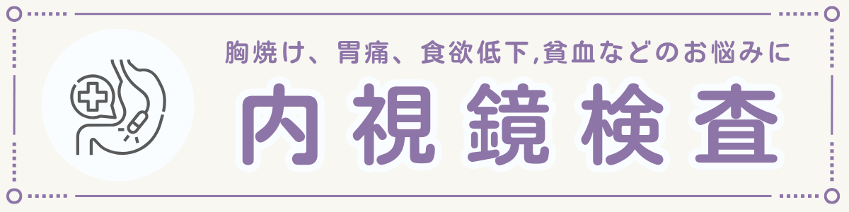 上部消化管内視鏡(胃カメラ)
